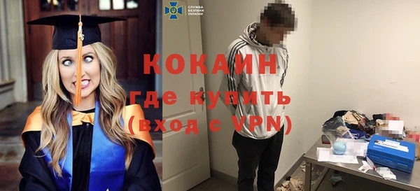 твердый Заводоуковск