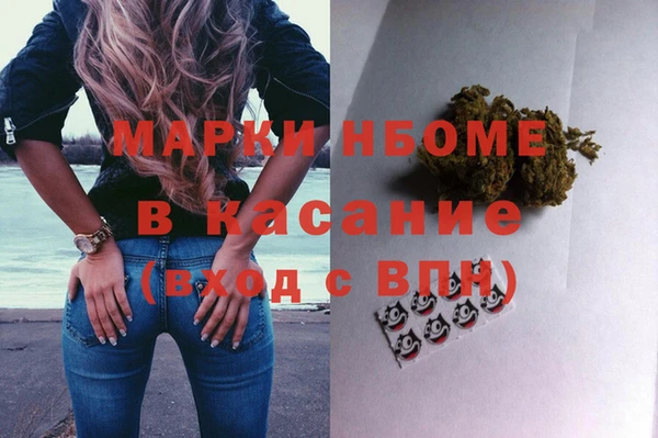 сатива Зерноград