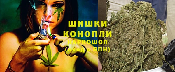 сатива Зерноград
