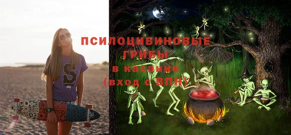 сатива Зерноград