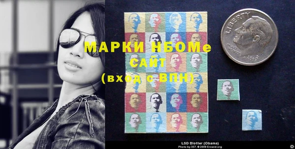 сатива Зерноград