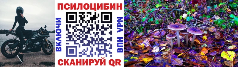 Галлюциногенные грибы прущие грибы Кувшиново