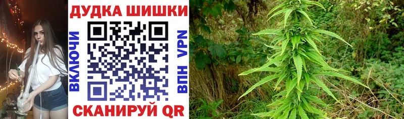 Канабис Ganja  Купить где  Кувшиново 